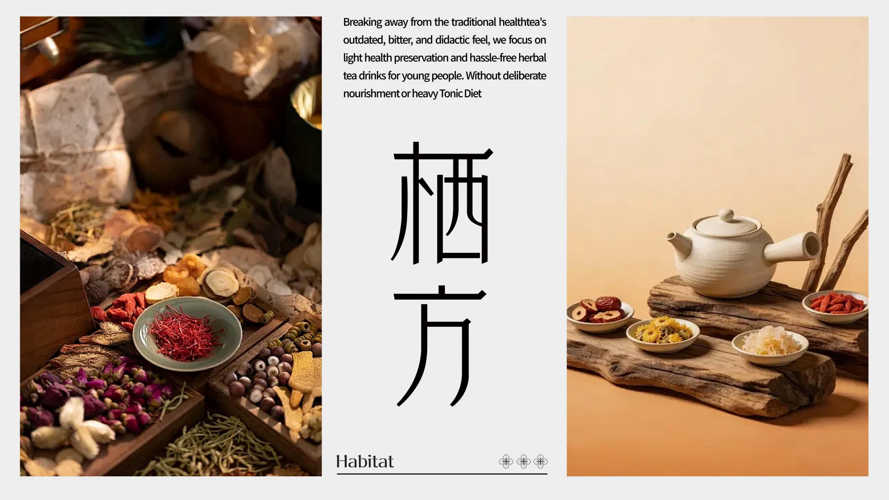 栖方 Habitat · 作品集第 47 页