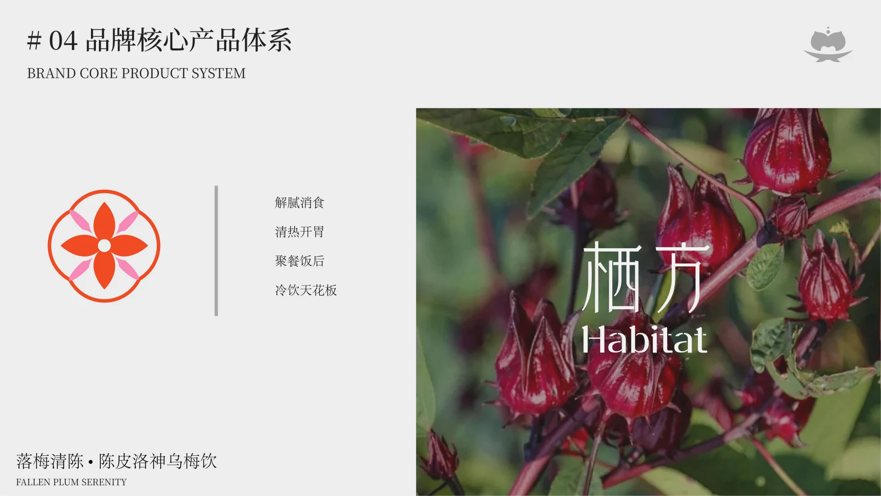 栖方 Habitat · 作品集第 53 页