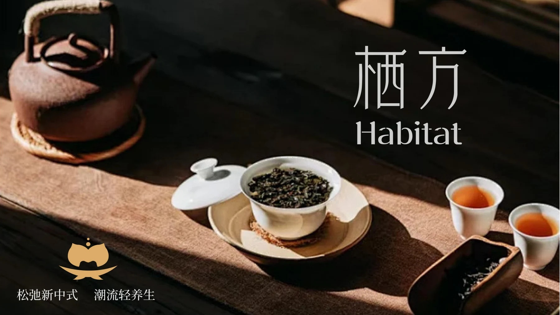 栖方 Habitat · 作品集第 61 页
